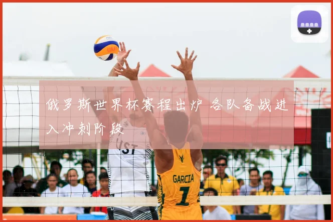 俄罗斯世界杯赛程出炉 各队备战进入冲刺阶段