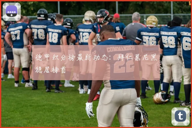 德甲积分榜最新动态:拜仁慕尼黑稳居榜首