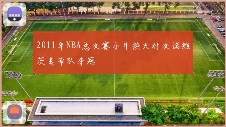 2011年NBA总决赛小牛热火对决诺维茨基率队夺冠