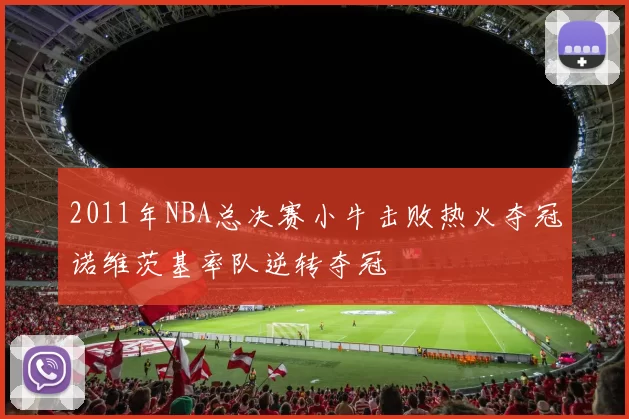 2011年NBA总决赛小牛击败热火夺冠诺维茨基率队逆转夺冠