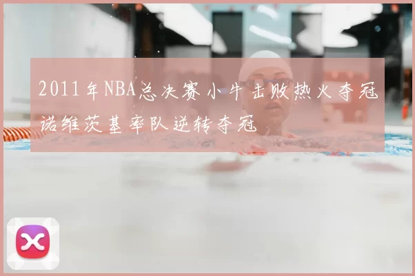 2011年NBA总决赛小牛击败热火夺冠诺维茨基率队逆转夺冠