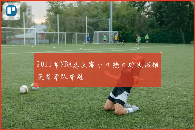 2011年NBA总决赛小牛热火对决诺维茨基率队夺冠